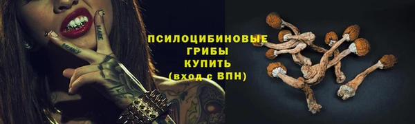 дживик Балабаново