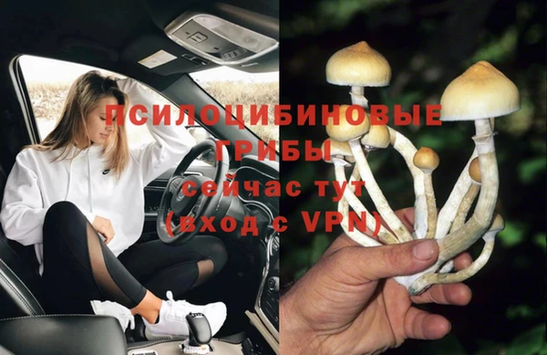 герыч Балахна